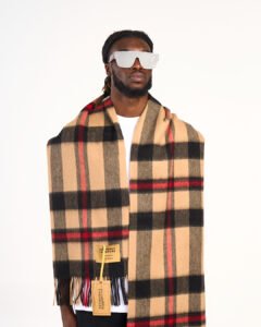 Luxurious lambswool Scarves for Modern Style