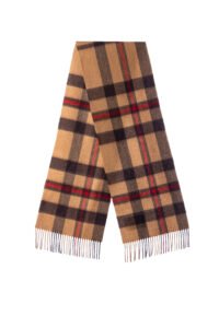 Fashion-forward designer cashmere scarves